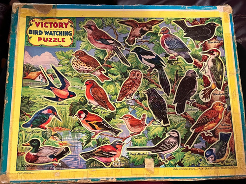 Vintage victory bird watching - vintage,