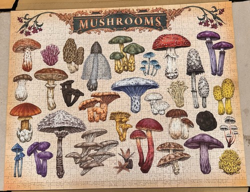 Hinkler vintage 1000 piece - hinkler,