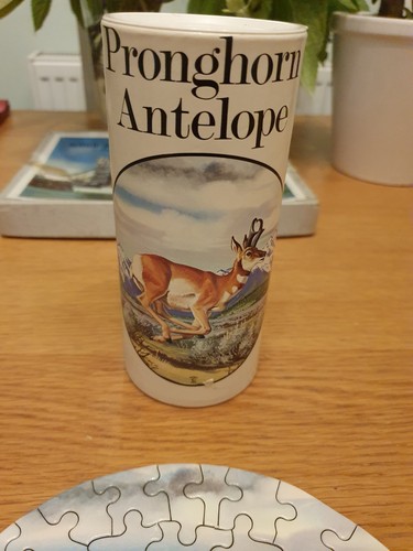 Pronghorn antelope piece - pronghorn,